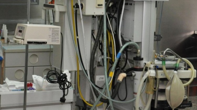 Снимка: архив, БулФото