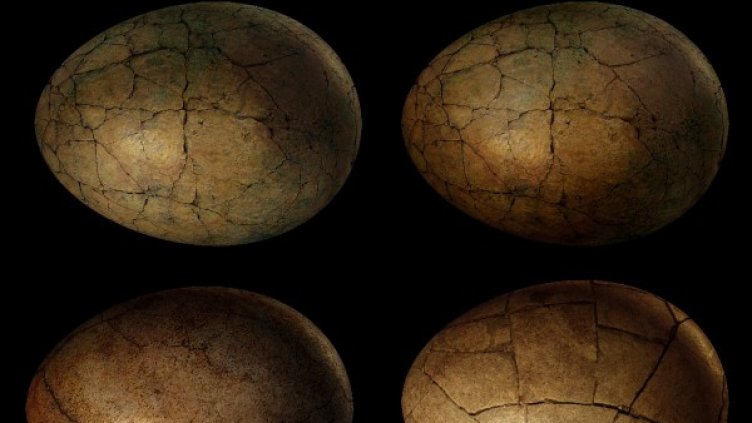 Снимка: Pixabay