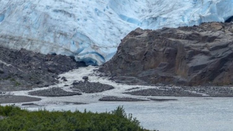 Снимка: Pixabay