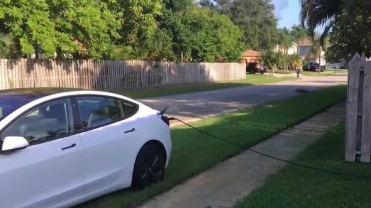 Снимка: WPBF news