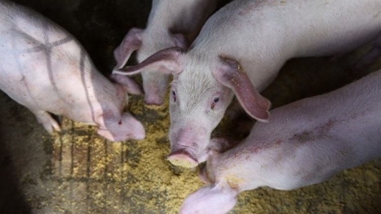 Снимка: архив Reuters