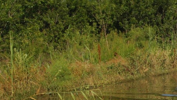 Снимка: Булфото, архив