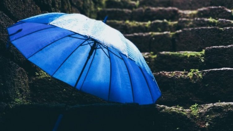 Снимка: pexels.com