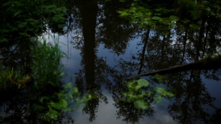 Снимка: архив, Reuters