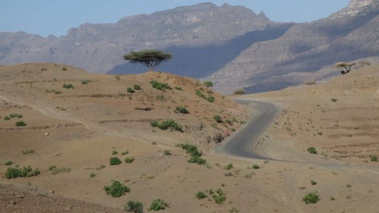 Снимка: Pixabay