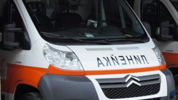 Снимка: архив, Булфото