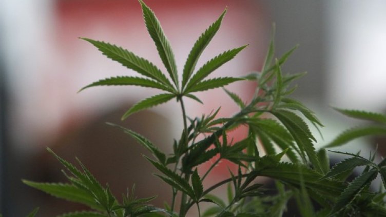 Снимка: Reuters