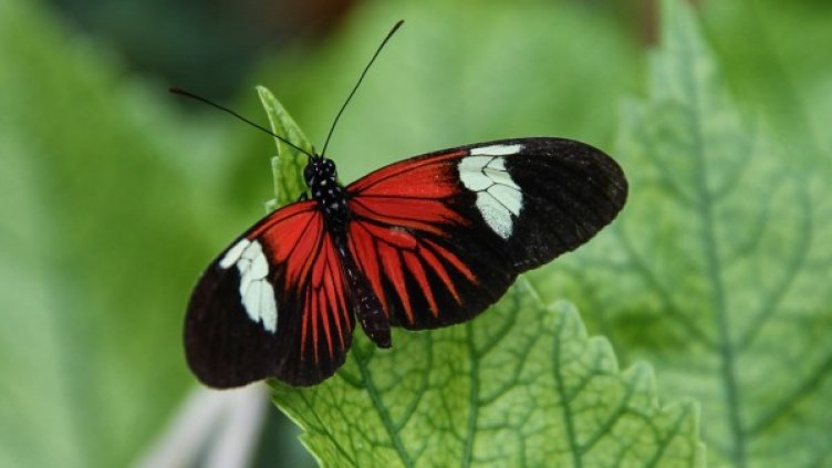 Слънце и температури до 35 градуса, но следобед ще превали