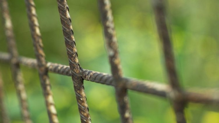 Снимка: Pixabay