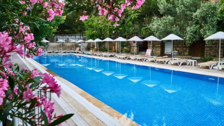 Снимка: Pixabay