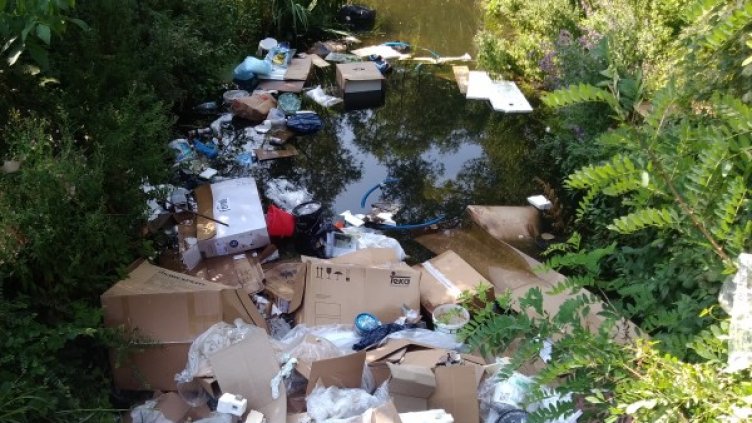 Изоставени коли и безразборно изхвърляне на боклук: Сигналите в HelpBook