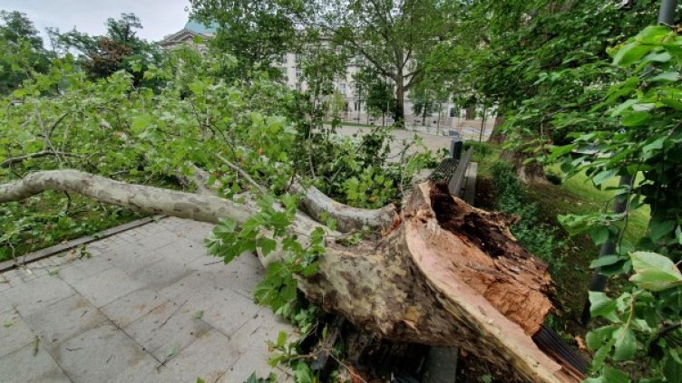 Снимка: Булфото