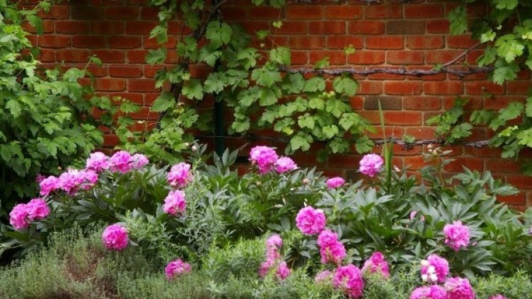 Снимка: flickr