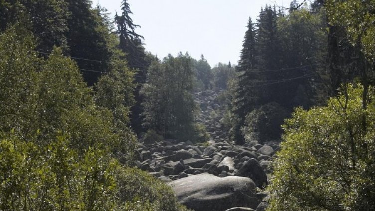 Снимка: Булфото, архив