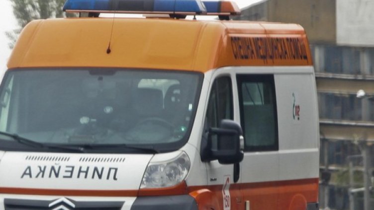 Снимка: Архив, Булфото