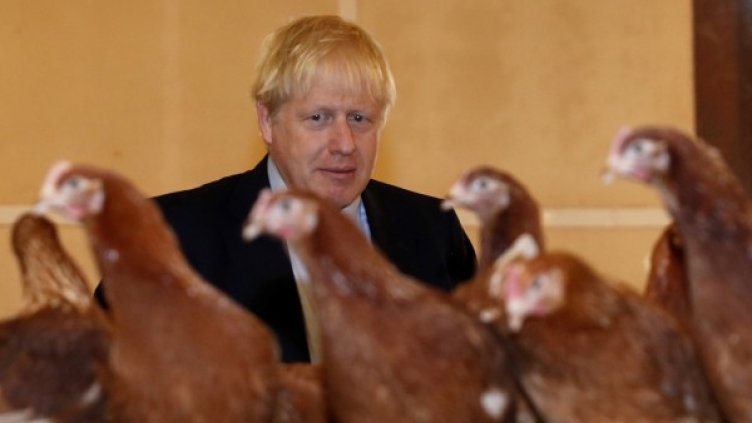 Снимки: Reuters