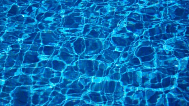 Снимка: pixabay.com