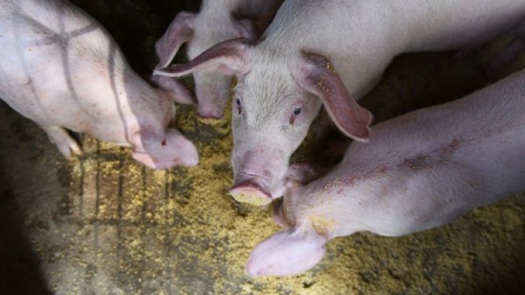 Снимка: архив Reuters