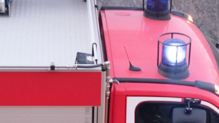 Снимка: архив Булфото