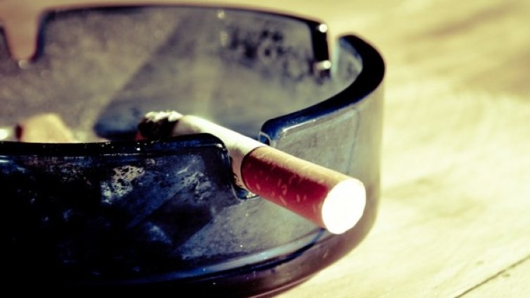 Снимка: Pixabay