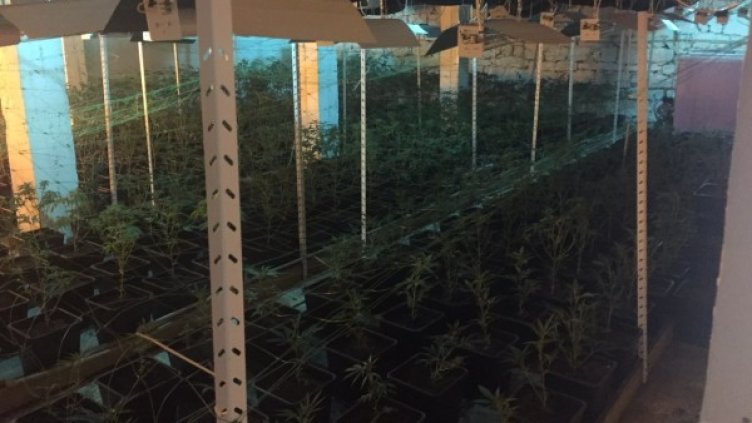 Снимка: МВР