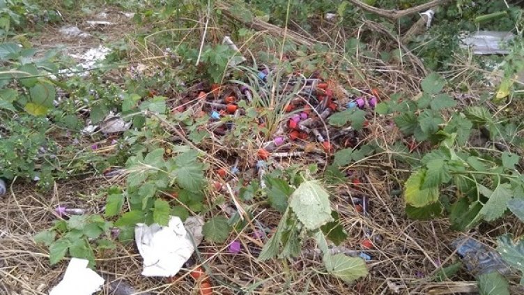 Снимка: Община Девня