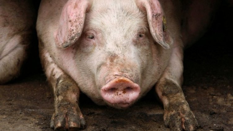 Снимка: Архив, Reuters