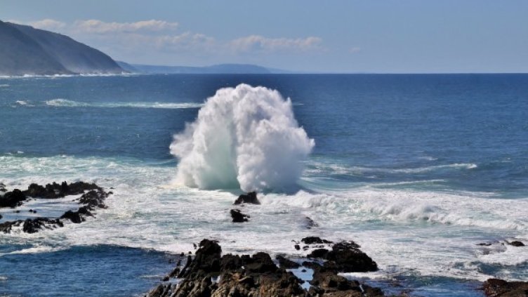 Снимка: Pixabay