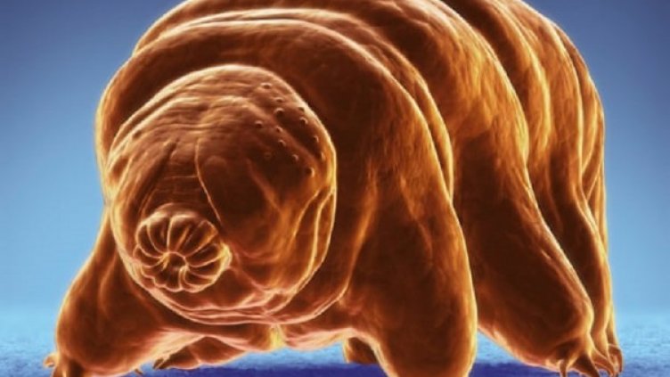 Снимка:  Alamy