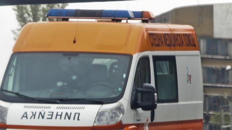 Снимка: Архив, Булфото