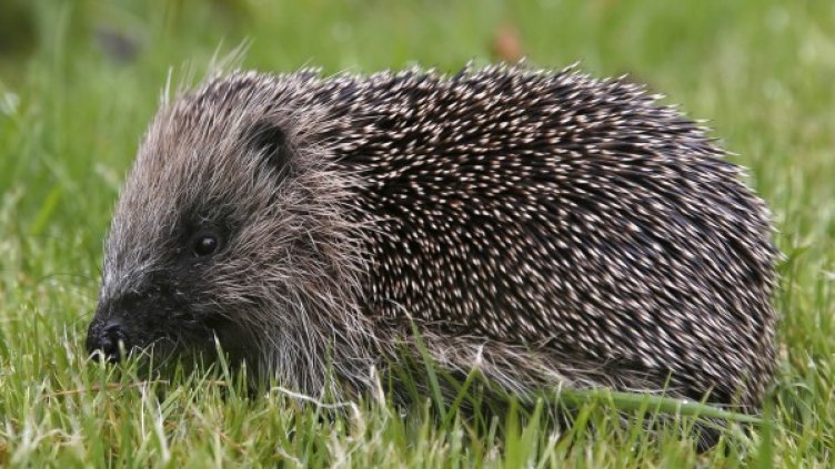 Снимка: архив, Reuters