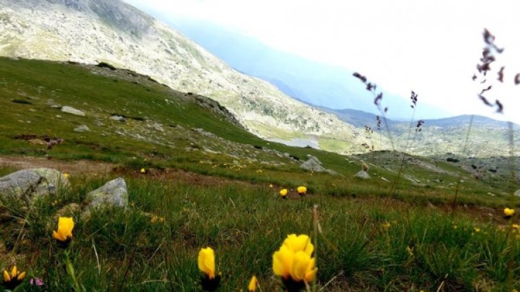 Снимка: Dnes.bg