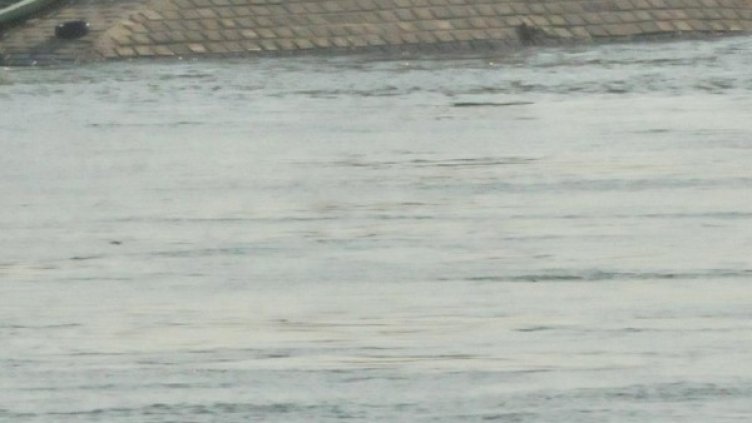 Снимка: Архив, Булфото