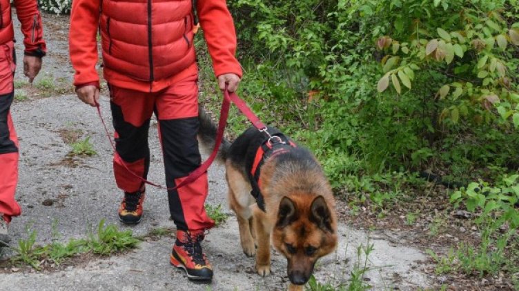 Снимка: архив Булфото