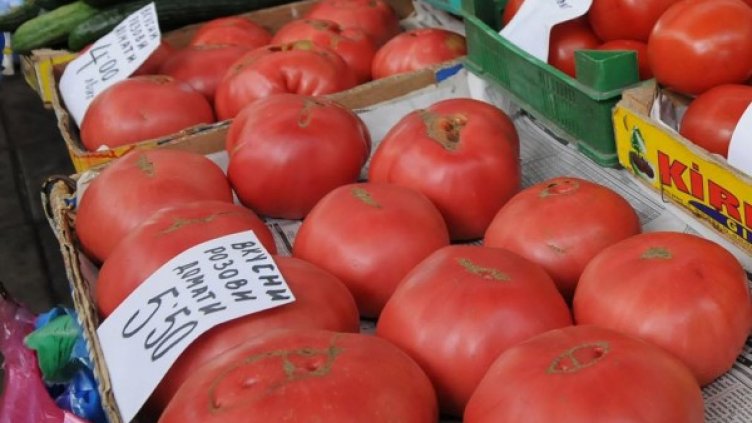 Снимка: Булфото, архив