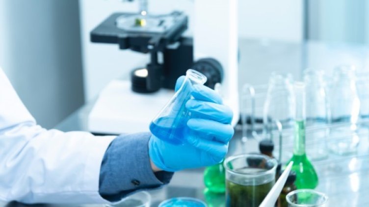 Снимка: pexels