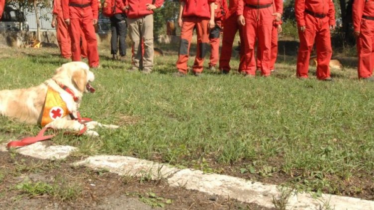 Архив: Булфото