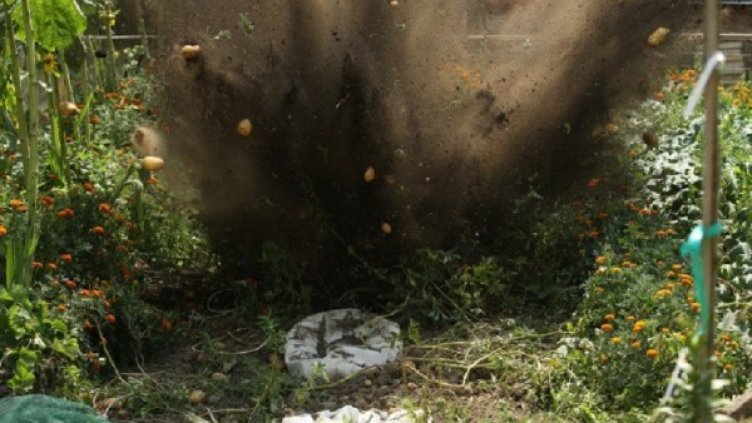 Снимка: Димитър Кьосемарлиев