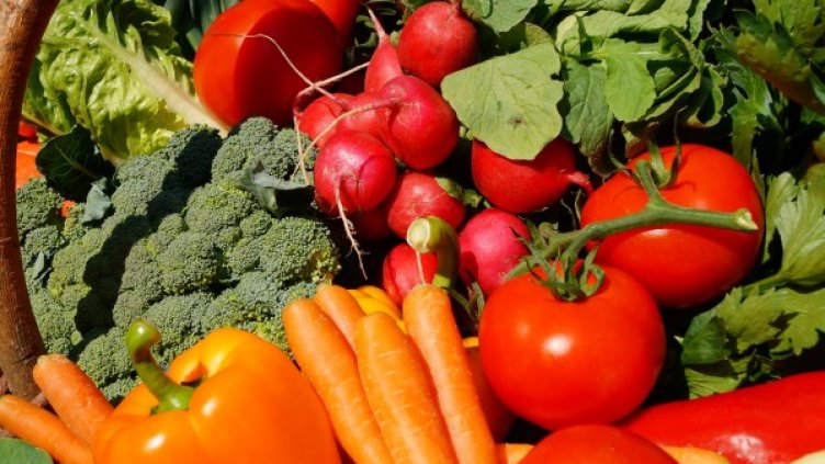 Градско хоби: Софиянци си отглеждат зарзават между блоковете