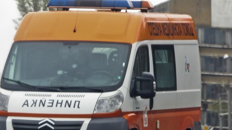 Снимка: Архив, Булфото