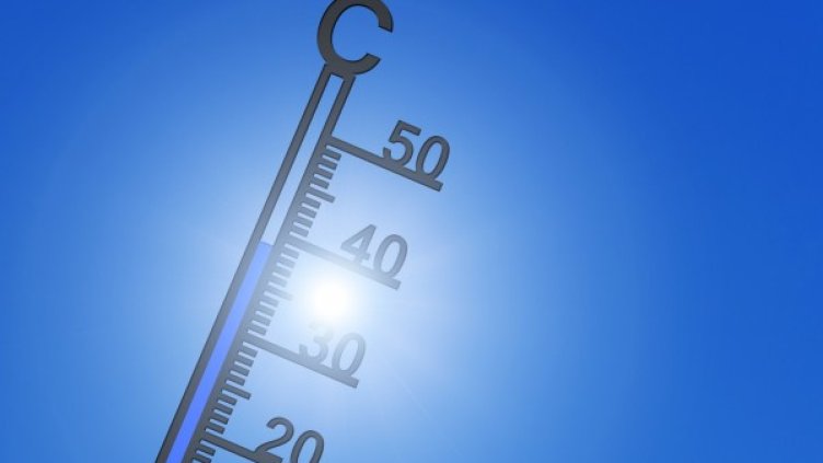 Снимка: pixabay.com