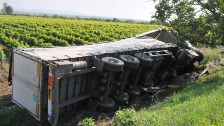 Снимка: архив, Булфото