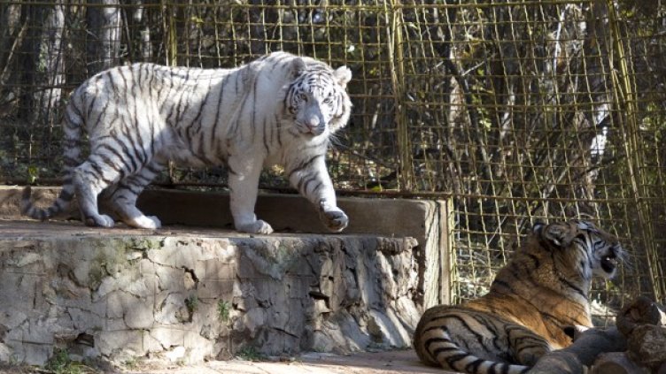 Снимка: Община Стара Загора