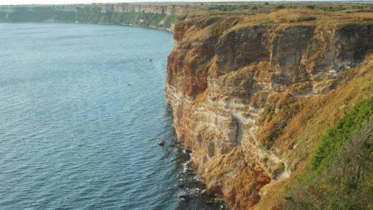 Снимка: Булфото, архив