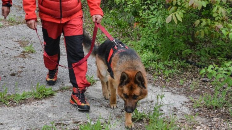 Снимка: архив Булфото