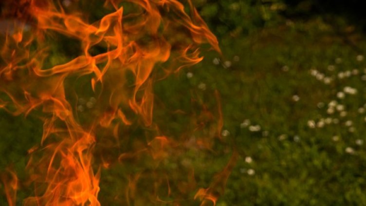 Снимка: pixabay.com