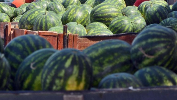 Снимка: архив, Булфото