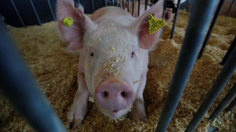 Снимка: Reuters