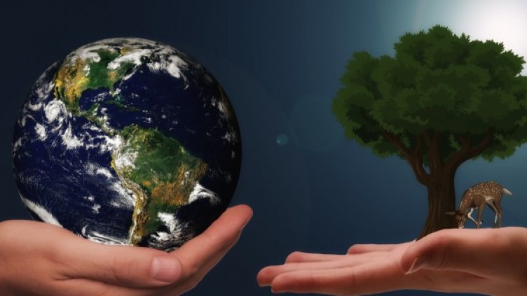 Снимка: Pixabay