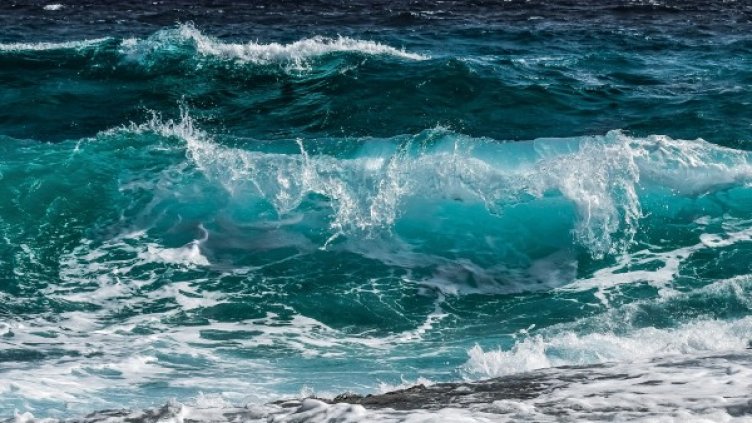 Снимка: Pixabay